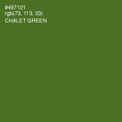 #497121 - Chalet Green Color Image